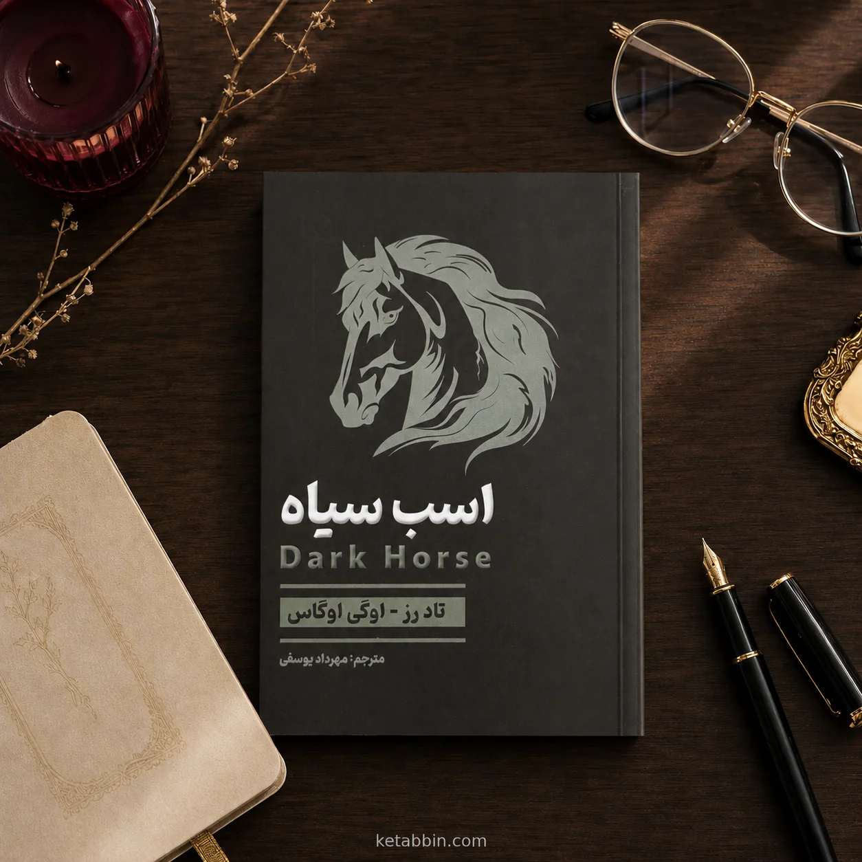 کتاب اسب سیاه اثر تاد رز، اوگی اوگاس | ترجمه مهرداد یوسفی - تصویر 3